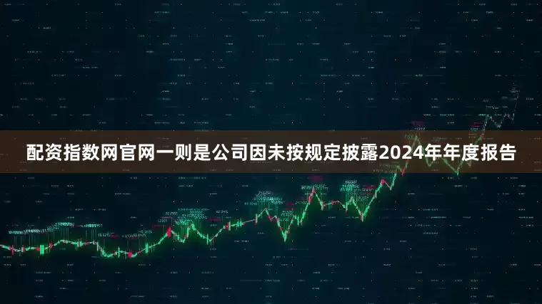 配资指数网官网一则是公司因未按规定披露2024年年度报告