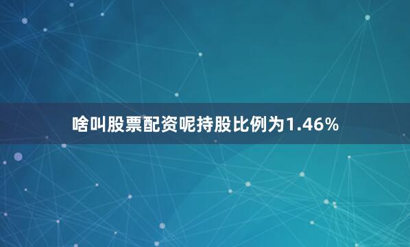 啥叫股票配资呢持股比例为1.46%