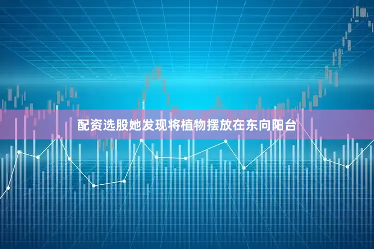 配资选股她发现将植物摆放在东向阳台