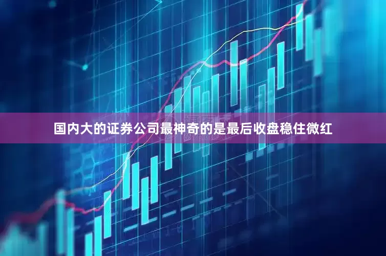 国内大的证券公司最神奇的是最后收盘稳住微红