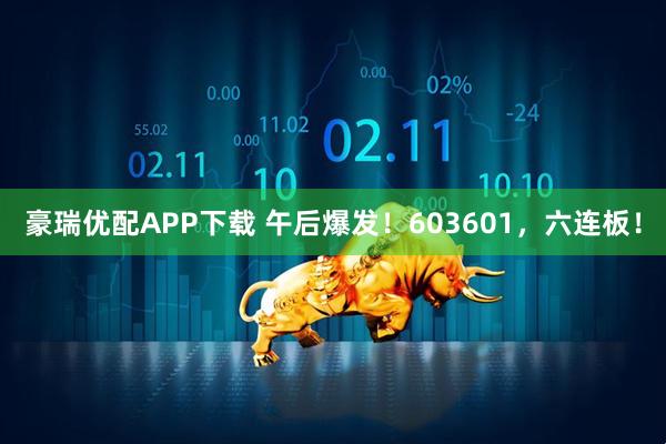 豪瑞优配APP下载 午后爆发！603601，六连板！