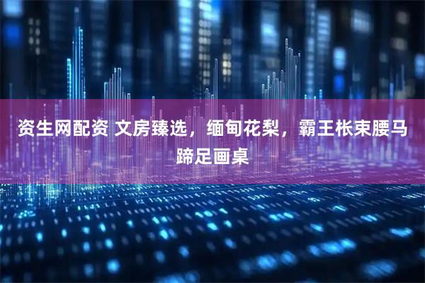 资生网配资 文房臻选，缅甸花梨，霸王枨束腰马蹄足画桌
