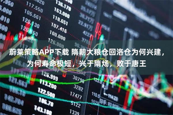 蔚莱策略APP下载 隋朝大粮仓回洛仓为何兴建，为何寿命极短，兴于隋炀，败于唐王